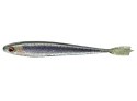 Daiwa Prorex Mermaid Shad 12,5cm Urume