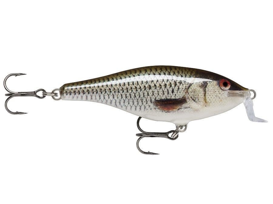 Rapala Wobler Shallow Shad Rap 7cm 7g Live Roach Rapala Wobler Shallow Shad Rap 7cm 7g Live Roach