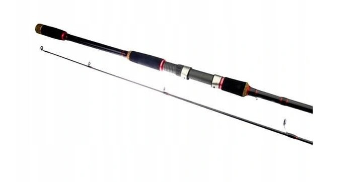 Rapala Wędka Gonne Spin 2,4m 5-20g 2sek Rapala Wędka Gonne Spin 2,4m 5-20g 2sek