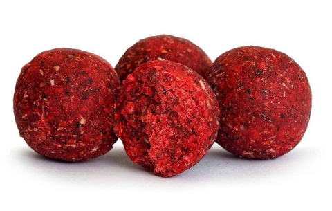 Tandem Baits Euro Boilies 16mm 10kg Truskawka