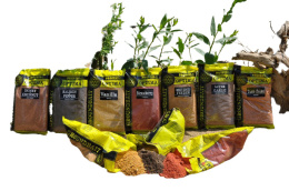 Profess Zanęta Optima 1kg CSL Fermentowana Kukurydza