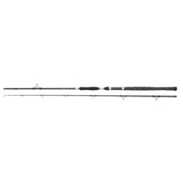 Wędka sumowa Penn Legion Cat Silver Allround - 2,70m 100-300g