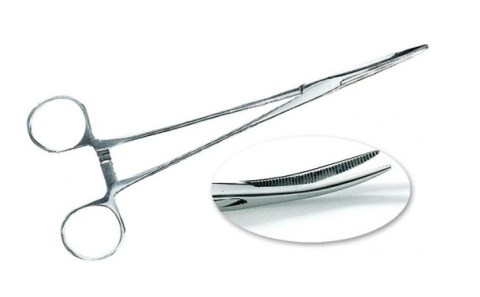 JAXON SZCZYPCE Z ZAKRZYWIONĄ KOŃCÓWKĄ 23CM 1szt JAXON SZCZYPCE Z ZAKRZYWIONĄ KOŃCÓWKĄ 23CM 1szt
