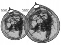 Kosz do podbieraka Feeder Bait M 45x55cm