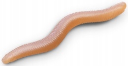 Przynęta Larwa Delphin StinxWorm Shrimp 50szt 4cm - Skiny