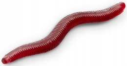 Przynęta Larwa Delphin StinxWorm Czosnek 50szt 4cm - Bloody