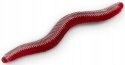 Przynęta Larwa Delphin StinxWorm Czosnek 50szt 4cm - Bloody