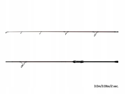 Wędka Delphin ETNA Legend4ry 3.00m 3.0lbs 2 składy