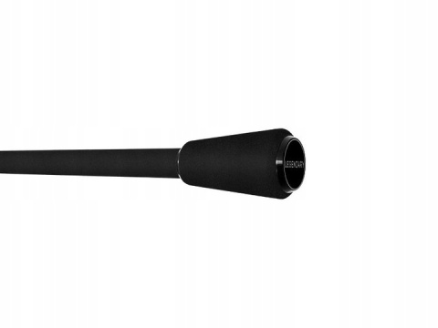 Wędka Delphin ETNA Legend4ry 3.00m 3.0lbs 2 składy