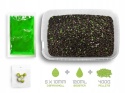 Pellet Box Delphin Reaxe READY&GO - Czosnek / Kwas Masłowy