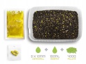 Pellet Box Delphin Reaxe READY&GO - Kukurydza-Ananas
