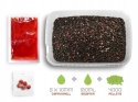 Pellet Box Delphin Reaxe READY&GO - Łosoś-Rak
