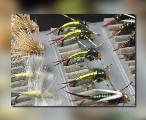 Pudełko Muchowe Mistrall Fly Mouche - Rozmiar M