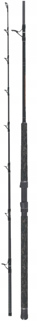 WĘDKA SUMOWA ROBINSON SILURO CATFISH SPIN 2,50 M 80-250 G
