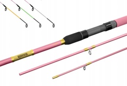 WĘDKA FEEDER DELPHIN QUEEN 3,30 m 100 g + 3 szczytówki