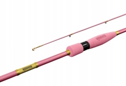 WĘDKA SPINNINGOWA DELPHIN QUEEN SPIN 2,40 m 10–30 g
