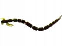 Przynęta gumowa Westin BloodTeez Worm 7,5 cm 1g Black/Chartreuse 1szt