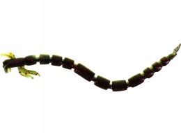Przynęta gumowa Westin BloodTeez Worm 7,5 cm 1g Black/Chartreuse 1szt