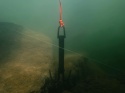 Kotwiczka do zaczepów Delphin HELP 25.5 cm 660 g