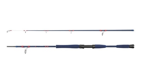 Wędka morska Delphin FYORD BigBOAT 220 cm 300-400 g