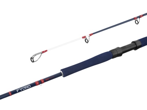 Wędka morska Delphin FYORD BigBOAT 200 cm 300-400 g