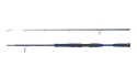 Wędka morska Delphin FYORD BigBOAT 200 cm 300-400 g