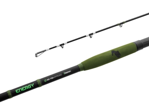 Wędka sumowa Delphin ENERGY Catfish 250cm 250-500g 2skł